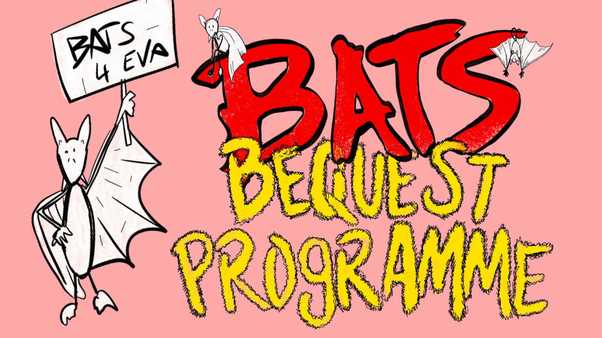 Bequest programme web banner.png