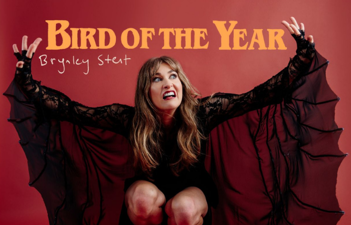 comedy fest 700x400 26.png