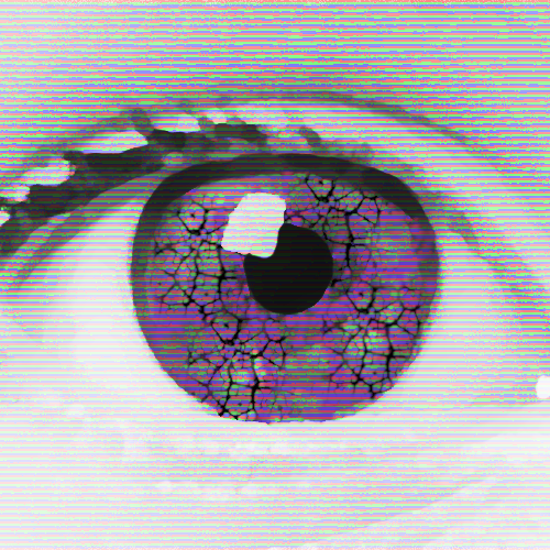 logo_1786.png
